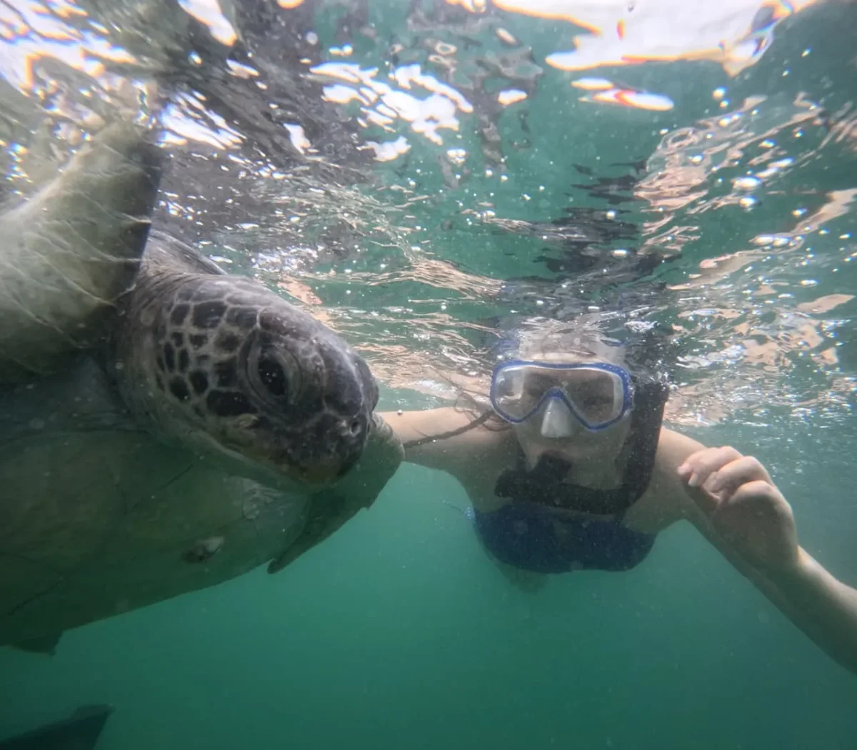 Viajero bajo el agua junto a una tortuga marina durante su experiencia de viaje