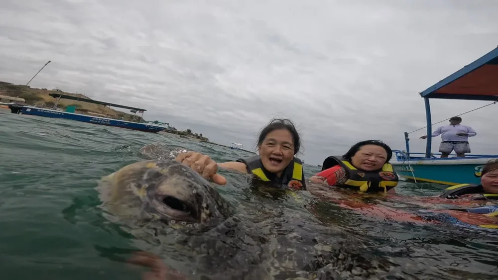 Viajeros con chalecos en el agua durante la experiencia de nado con tortugas